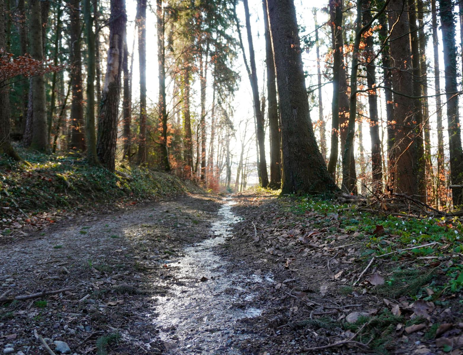 Hoffnung